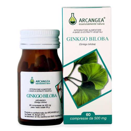 GINKGO BILOBA 60 CAPSULE 500 MG - Farmaspeed