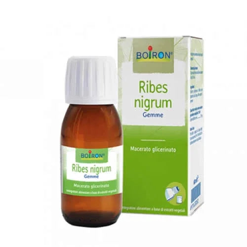 RIBES NIGRUM BOIRON MACERATO GLICERICO 60 ML - Farmaspeed