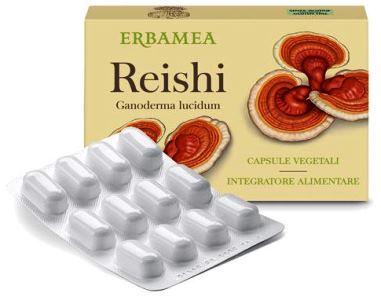 REISHI 24 CAPSULE - Farmaspeed