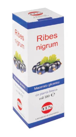 RIBES NIGRUM MACERATO GLICERICO 100 ML GOCCE - Farmaspeed