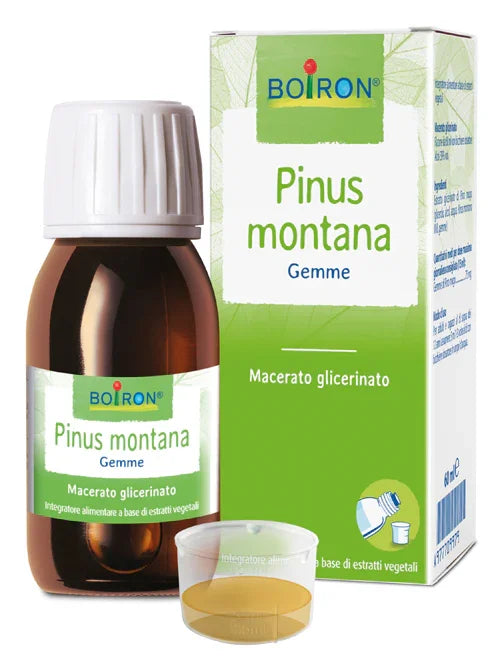 PINUS MONTANA BOIRON MACERATO GLICERICO 60 ML - Farmaspeed