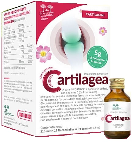 SALUGEA CARTILAGEA 18 FLACONCINI DA 12 ML