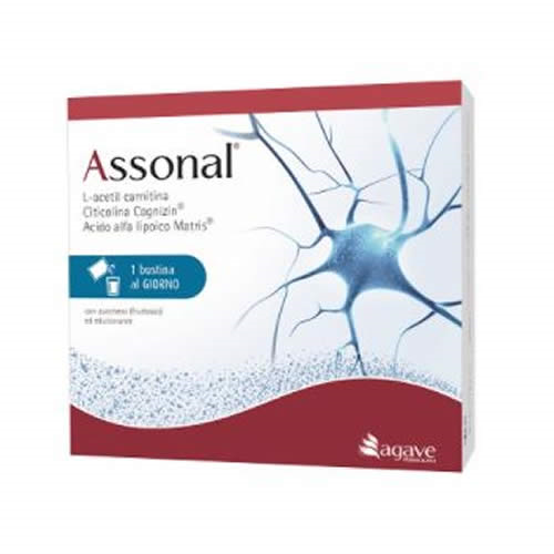 ASSONAL 16 BUSTINE