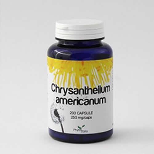 CHRYSANTELLUM AMERICANUM 60 CAPSULE - Farmaspeed