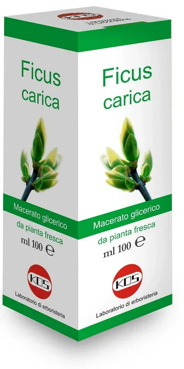 FICUS CARICA MACERATO GLICERICO 100 ML - Farmaspeed