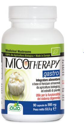 MICOTHERAPY GASTRO 90 CAPSULE - Farmaspeed
