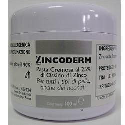 ZINCODERM PASTA CREMOSA 100 ML - Farmaspeed