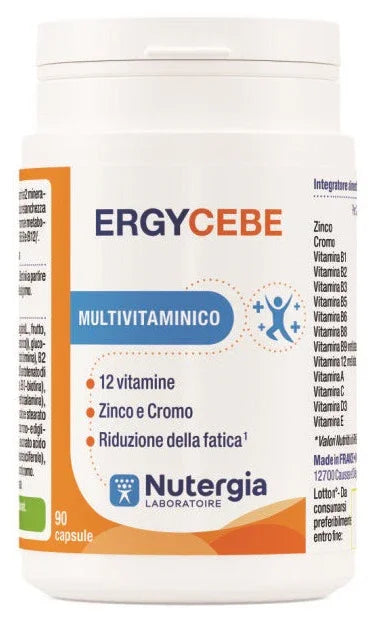 ERGYCEBE 90 CAPSULE - Farmaspeed